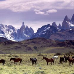 Patagonia