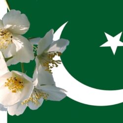 Pakistan Flag Wallpapers HD 2018 ·①