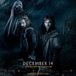 iPad Wallpapers: Free Download The Hobbit: An Unexpected Journey
