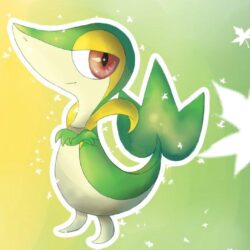 A Little Snivy by Doovid97