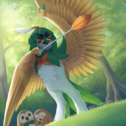Decidueye to the rescue! by Blunell