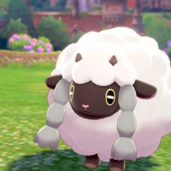 Wooloo: Image Gallery