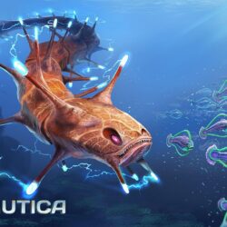 Subnautica Wallpapers HD