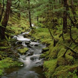 EYAK LAKE alaska picture, EYAK LAKE alaska photo, EYAK LAKE alaska