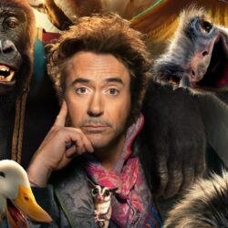 Dolittle 2020 Movie, HD Movies, 4k Wallpapers, Image