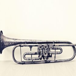 Vintage Trumpet – FINEPRINT co