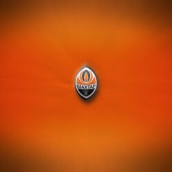 Shakhtar Donetsk Football Wallpaper, Backgrounds and Picture