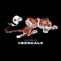 Free download Cincinnati Bengals Fans Wallpapers Bengalscom [] for your Desktop, Mobile & Tablet