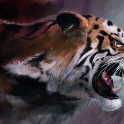 Jungle Tiger Wallpapers · Tiger Wallpapers