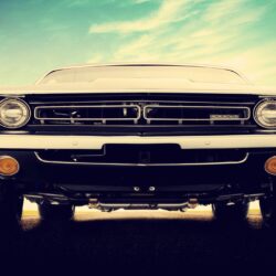 car dodge dodge challenger muscle cars wallpapers and backgrounds