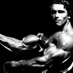 Arnold Schwarzenegger Wallpapers 9