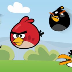 The Angry Birds Movie HD Desktop, iPhone iPad Wallpapers 1920×1080