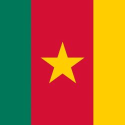 Photo Cameroon Flag Stripes