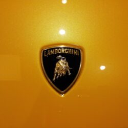 Wallpapers For > Lamborghini Logo Hd Wallpapers