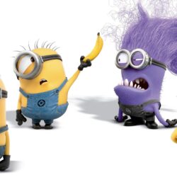 Minion wallpapers
