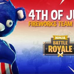 NEW 4th of July Fireworks Team Leader Skin!