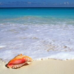 Beachside Treasure Yucatan Peninsula Mexico