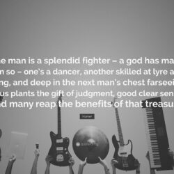 Homer Quote: “One man is a splendid fighter – a god has made him so