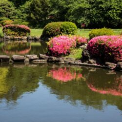 25 Beautiful Japanese Gardens