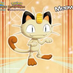 Meowth image Meowth HD wallpapers and backgrounds photos