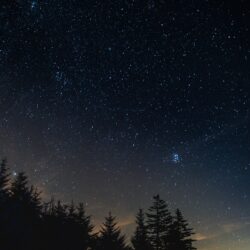 Download wallpapers starry sky, night, trees, night