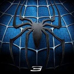Spider Man Hd Wallpapers Download Wallpapers