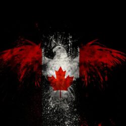 Download Wallpapers, Download birds canada canadian flag