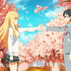 Your Lie In April Wallpapers HD Download