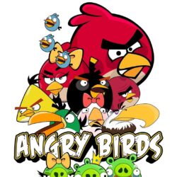 Download Angry Bird Wallpapers