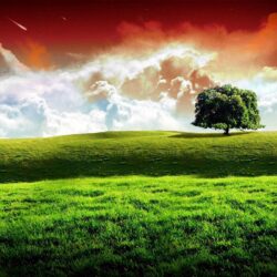 Indian Flag wallpapers