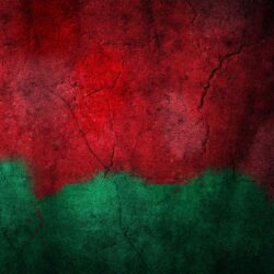 3 HD Belarus Flag Wallpapers