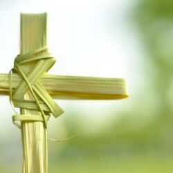Palm Sunday Wallpapers Free Download