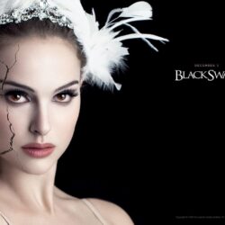 12 Black Swan Wallpapers