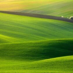 Daily Wallpaper: Hills of Moravia, Czech Republic