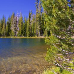 Lassen Volcanic National Park Pictures: View Photos & Image of
