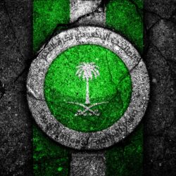 Download wallpapers 4k, Saudi Arabia football team, logo, AFC