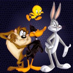 Looney Toons Wallpapers