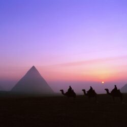 Sun, Egypt, camels, pyramids, Great Pyramid of Giza :: Wallpapers