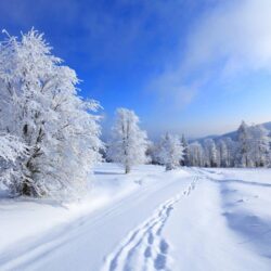 Winter Wallpapers HD 37 Backgrounds