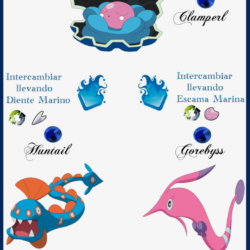 177 Clamperl Evoluciones by Maxconnery