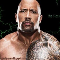 Wwe The Rock Hd Wallpapers ,free download,