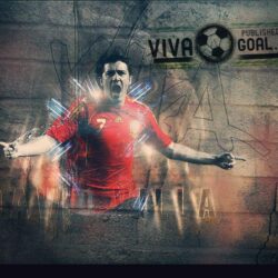 David villa Wallpapers and Backgrounds