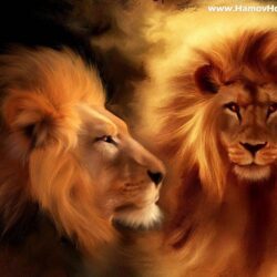 Wallpapers For > Roaring Male Lion Wallpapers