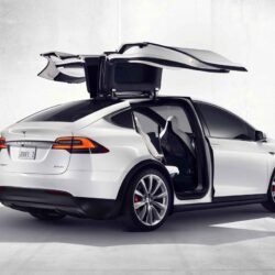 2019 Tesla Model Y