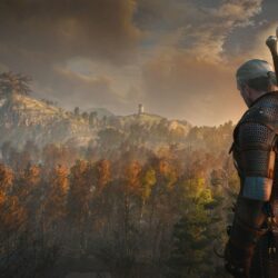 The witcher 3 full hd widescreen wallpapers for desktop