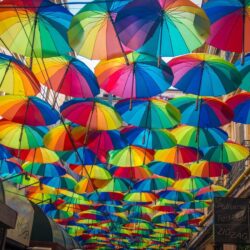 Wallpapers Umbrella, Romania, Romania, Umbrellas, Bucharest