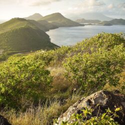 Wallpapers Saint Kitts and Nevis Caribbean Nature Hill