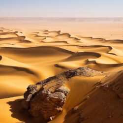 Image For > Desert Sand Dunes Wallpapers