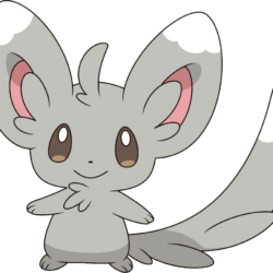 Minccino