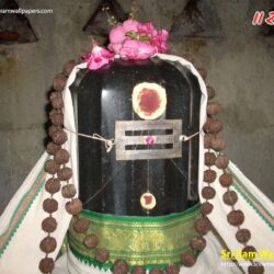 Ekambareswarar Lingam